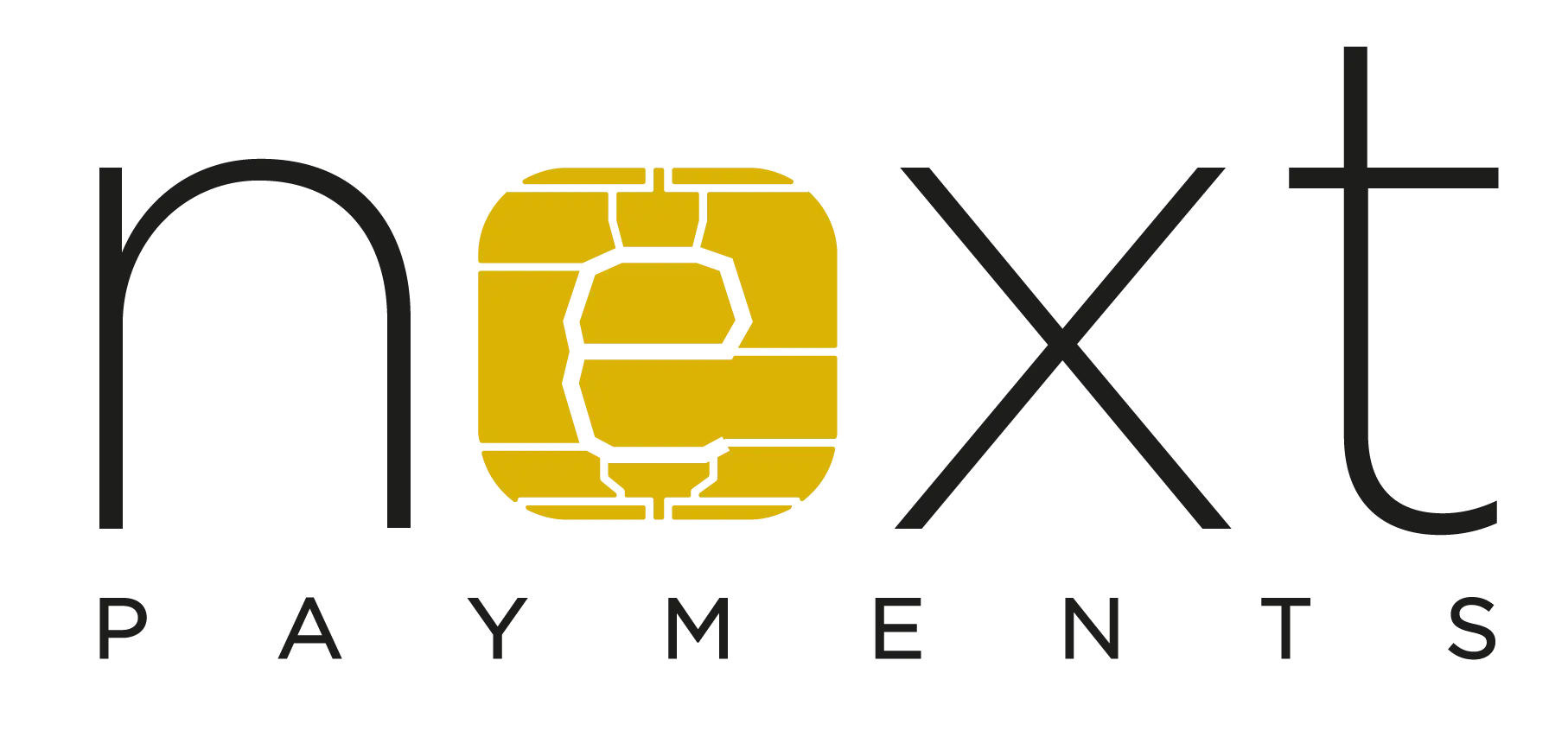 Next Payment Logo